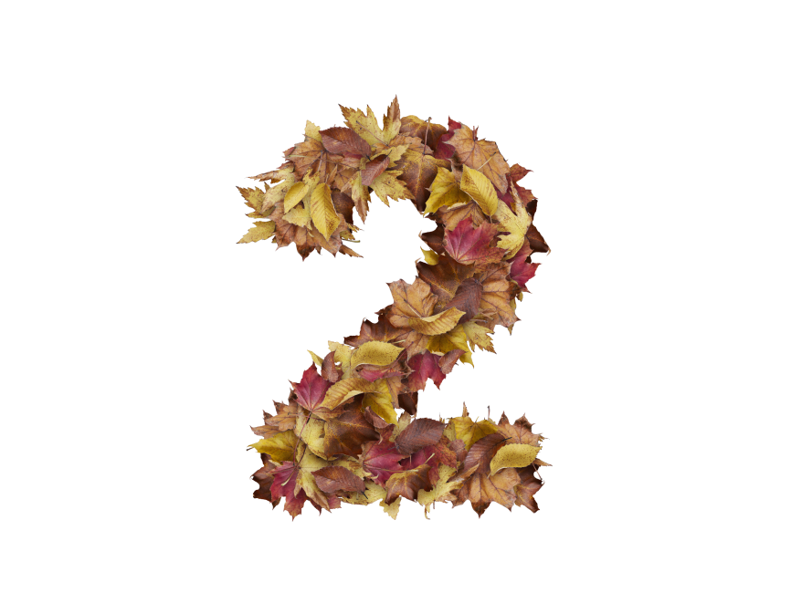 2 Number with Dry Leaves
