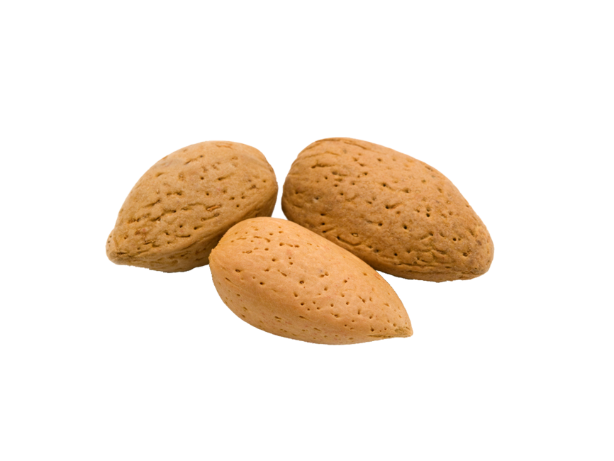 Almond