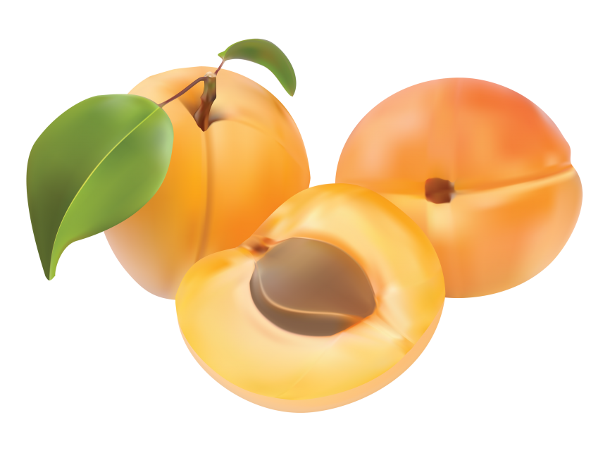 Apricot