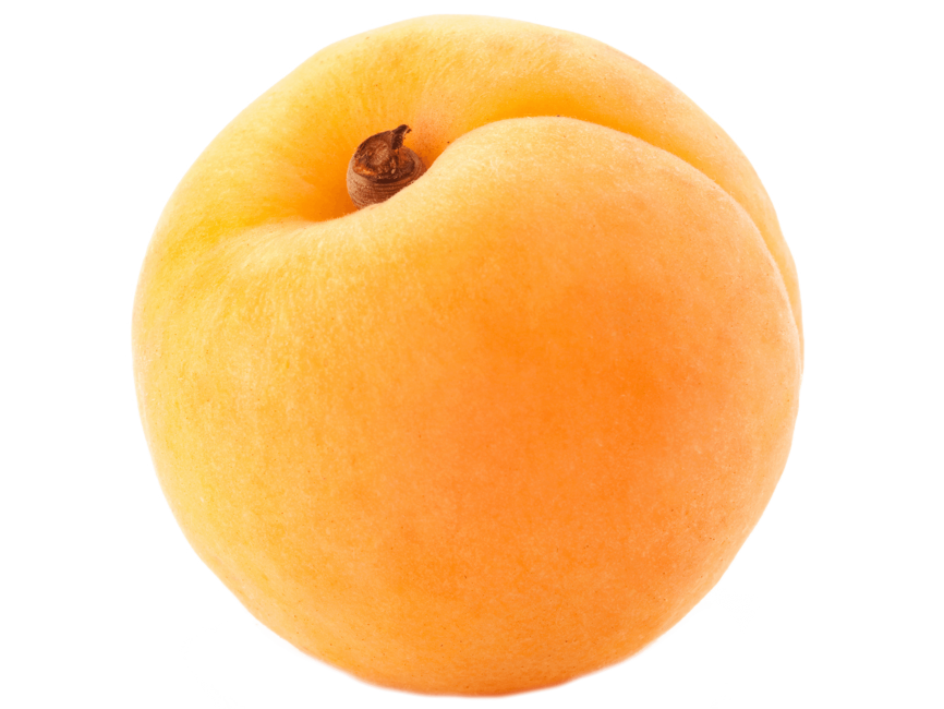 Apricot