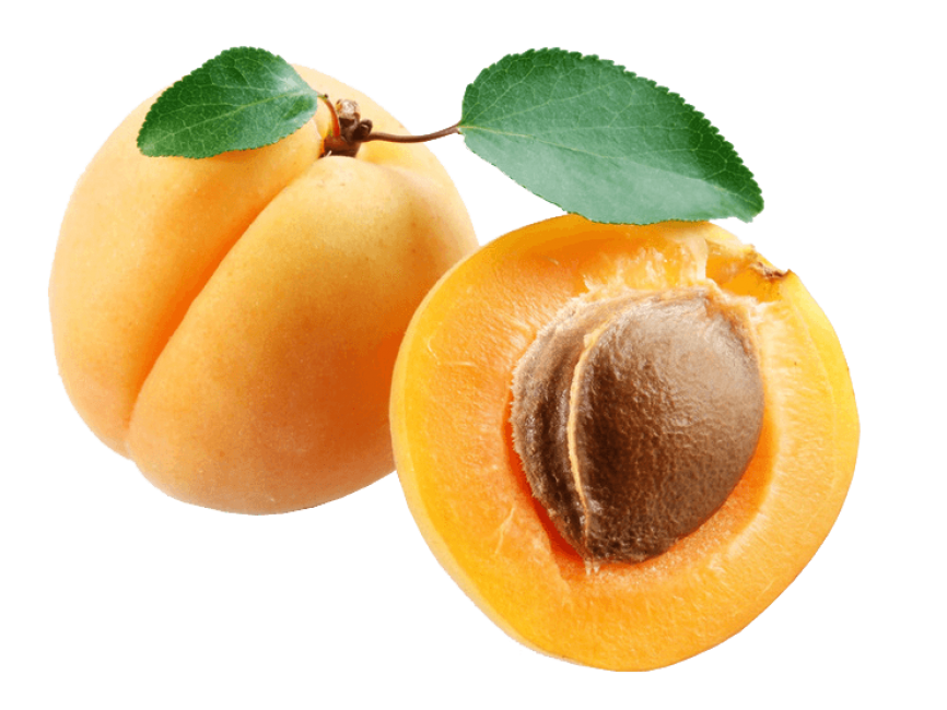 Apricot