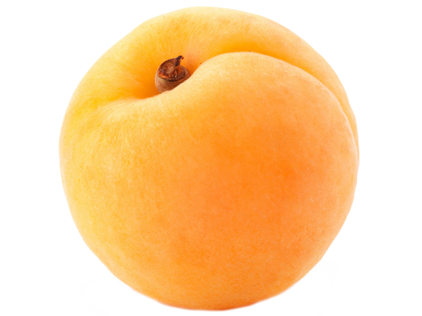 Apricot
