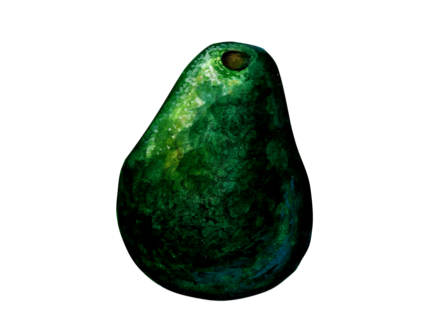 Avocado