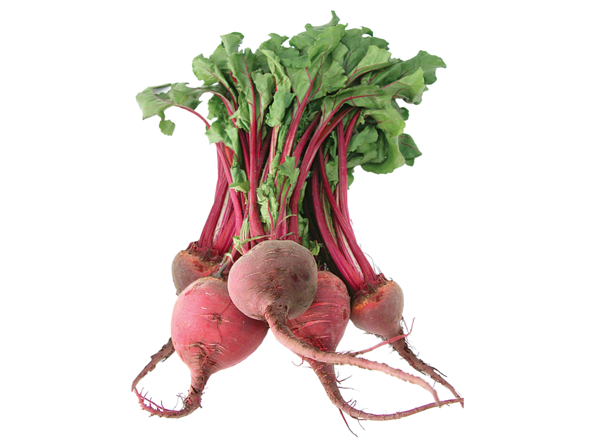 Beet