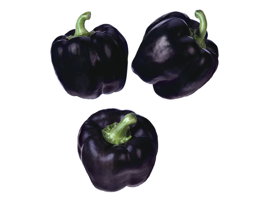Black Pepper