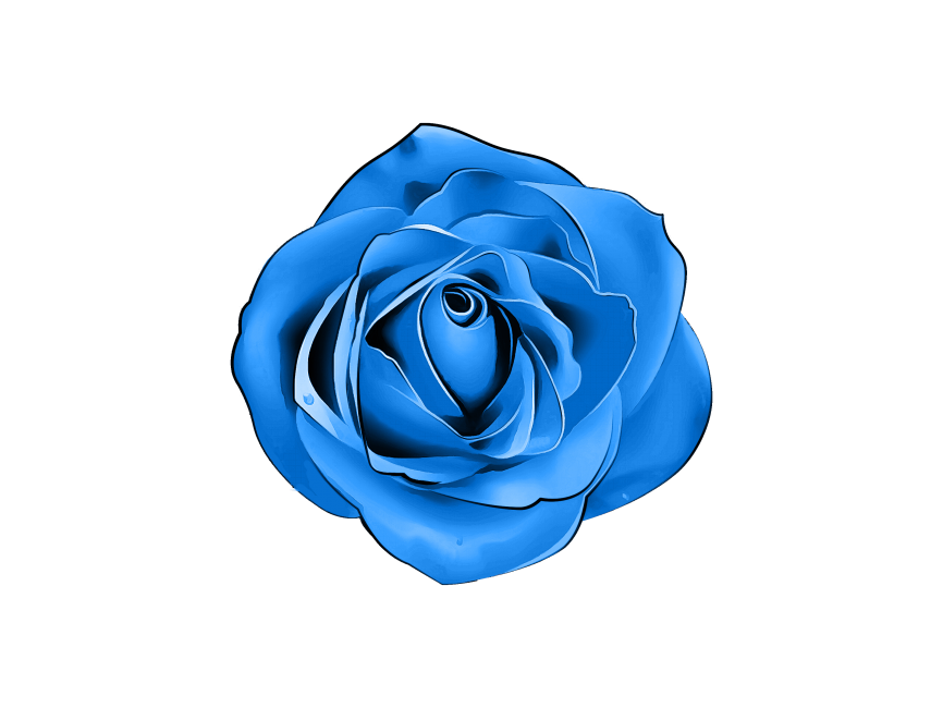 Blue Rose