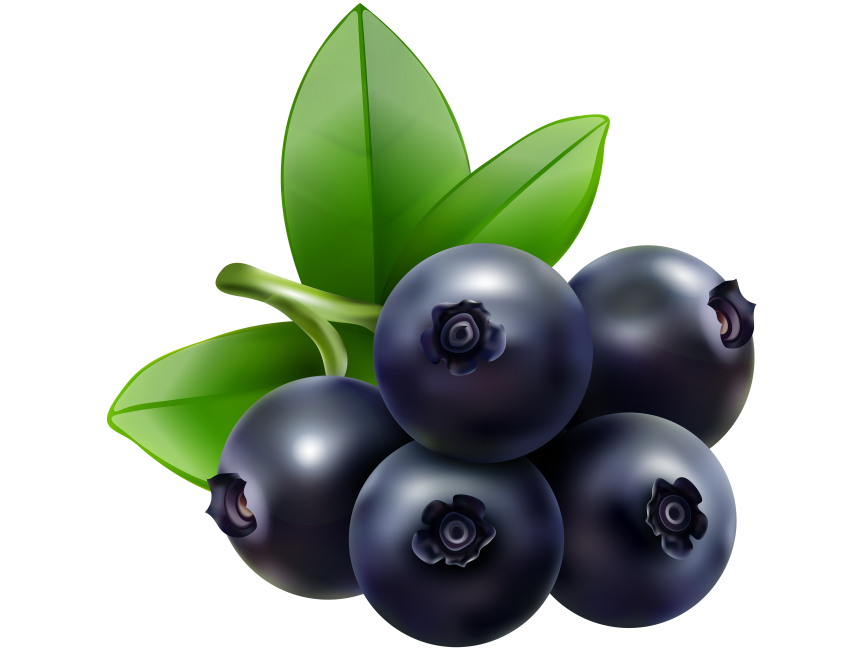 Blueberries