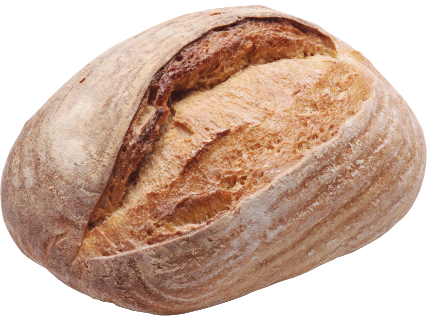 Bread