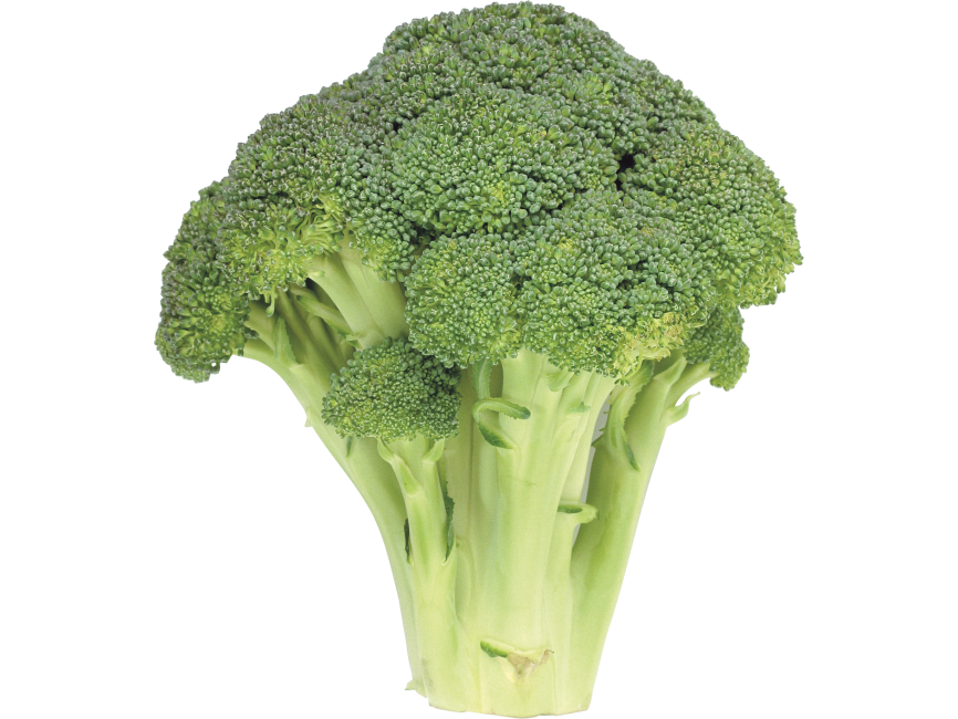 Broccoli
