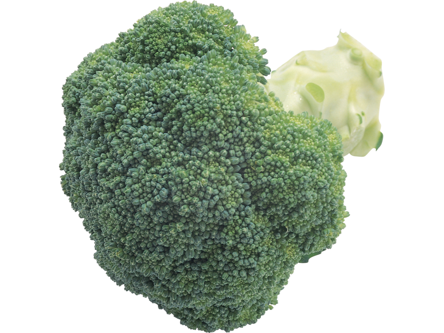 Broccoli