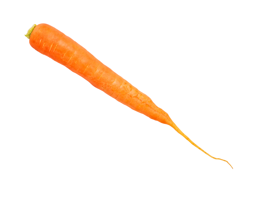 Carrot