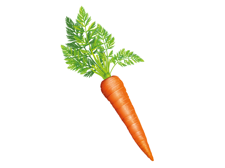 Carrot