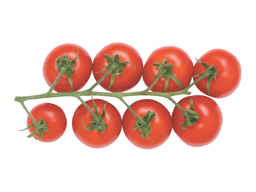 Cherry Tomato