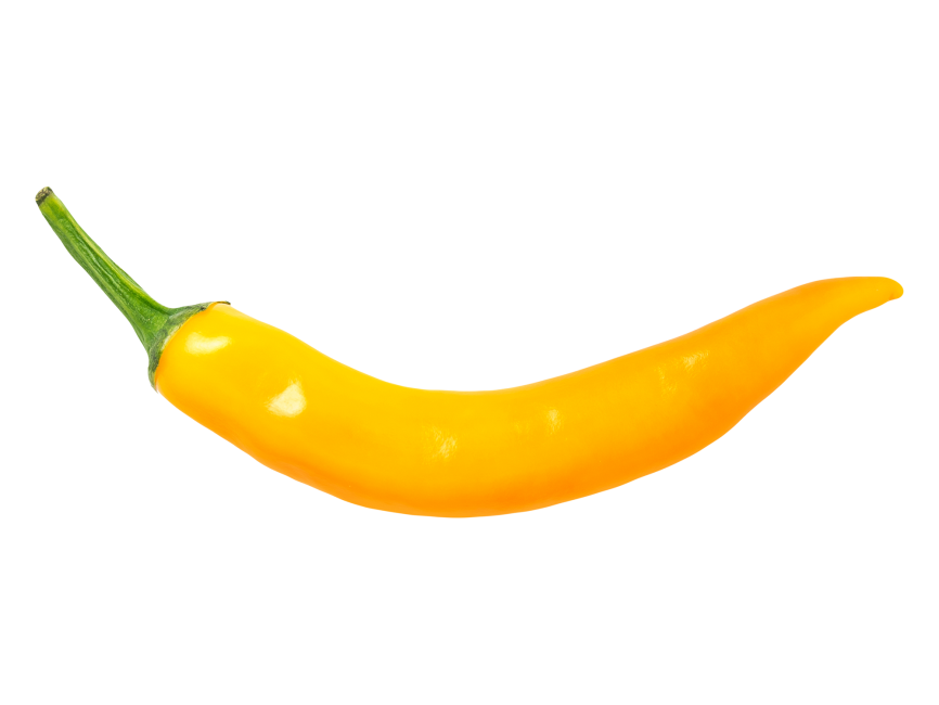 Chilli Pepper