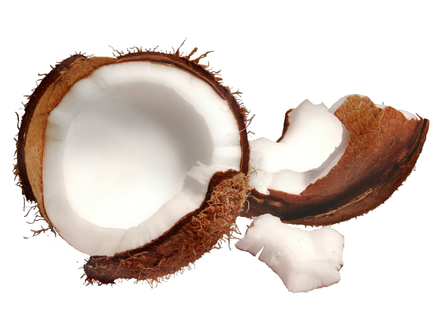 Coconut