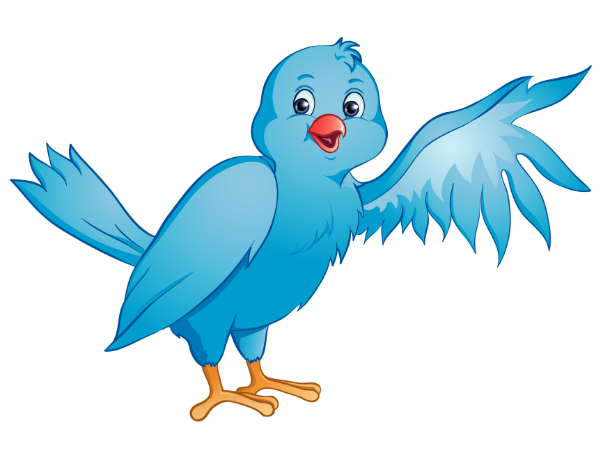 Colorful Bird