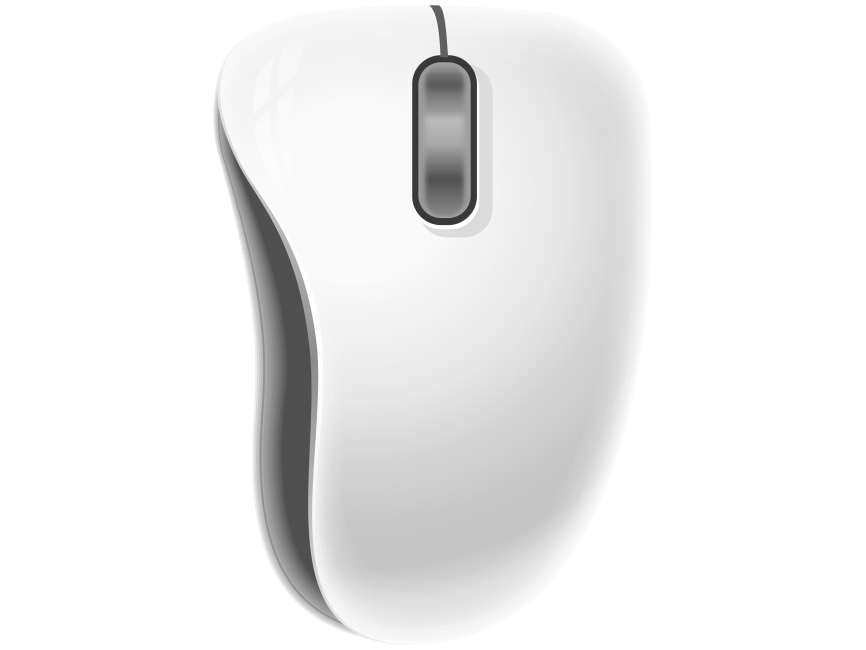 Computer Mouse