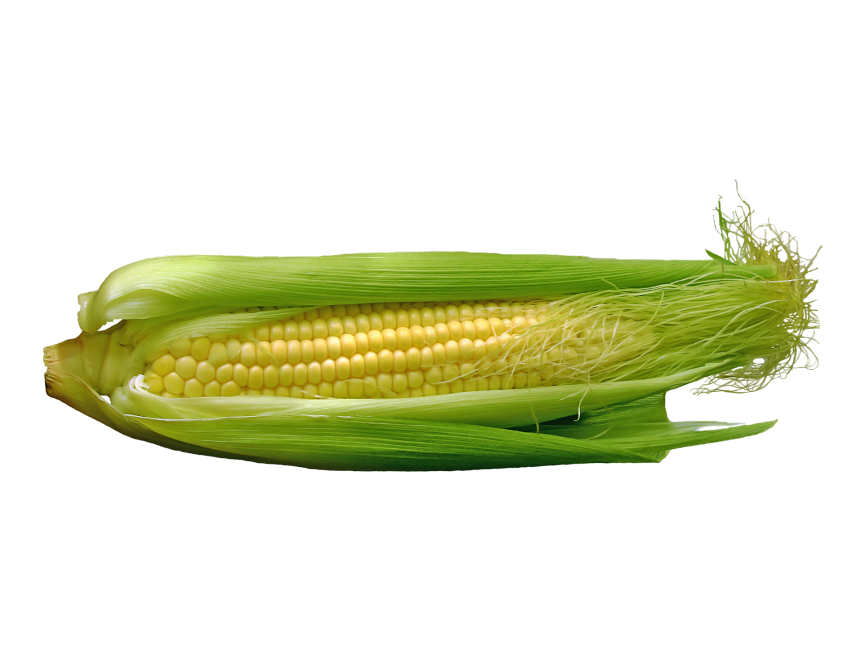 Corn