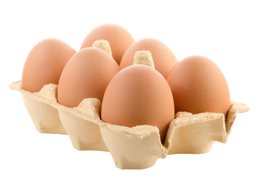 Egg