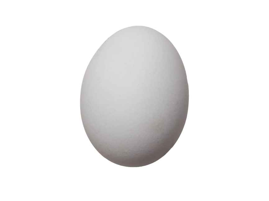 Egg
