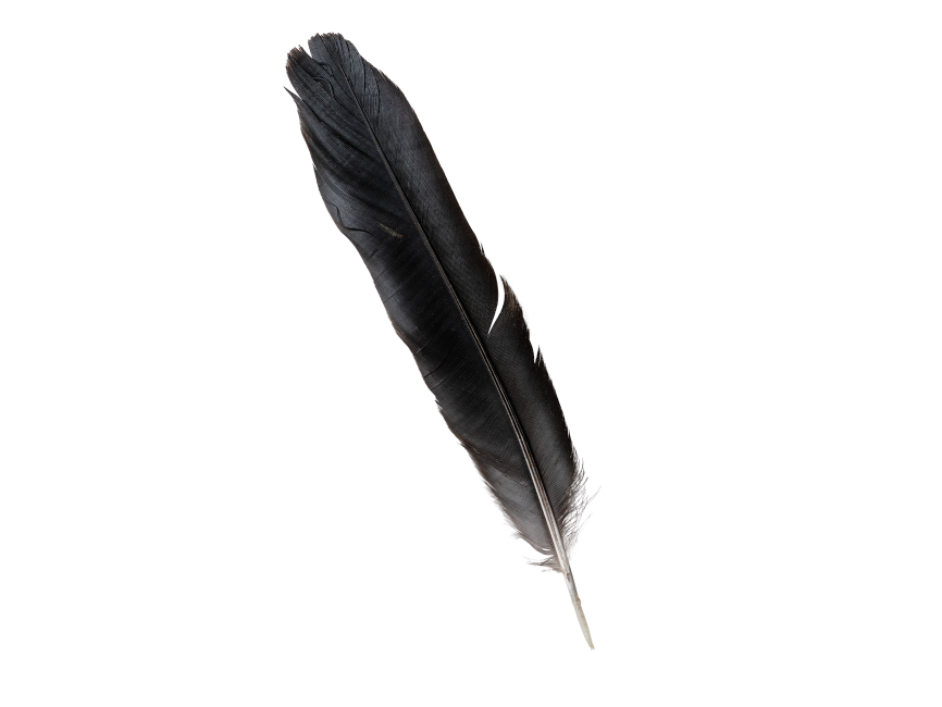 Feather