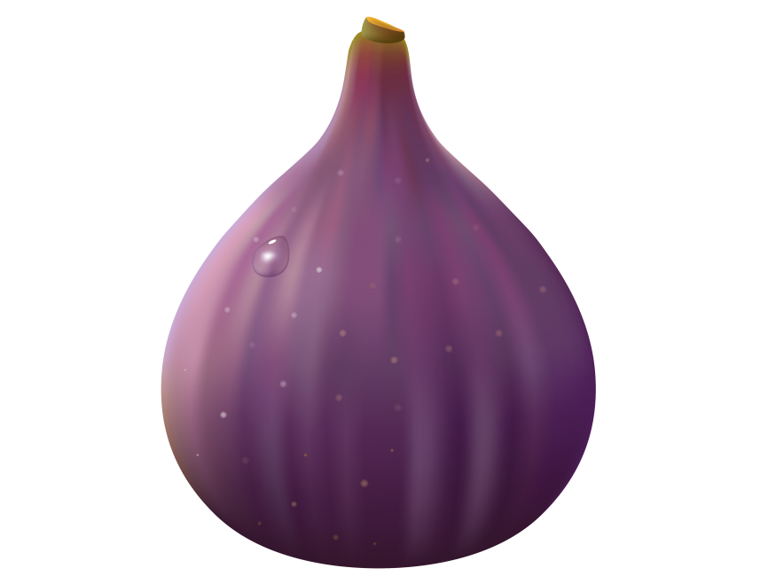 Fig