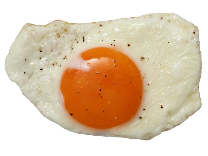 Fried Egg