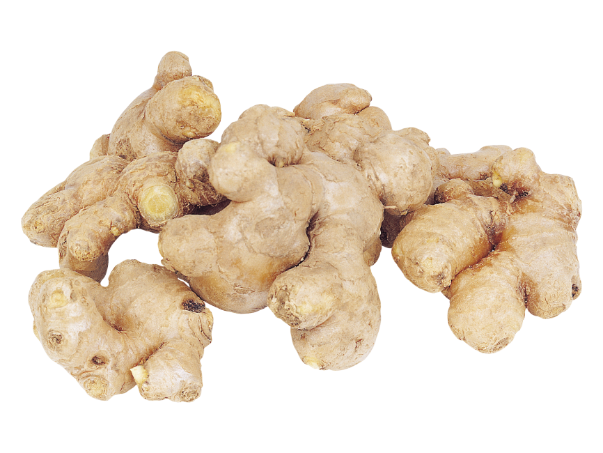 Ginger