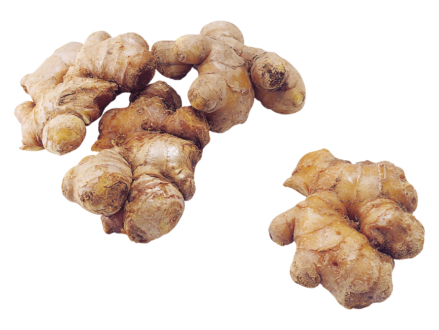 Ginger