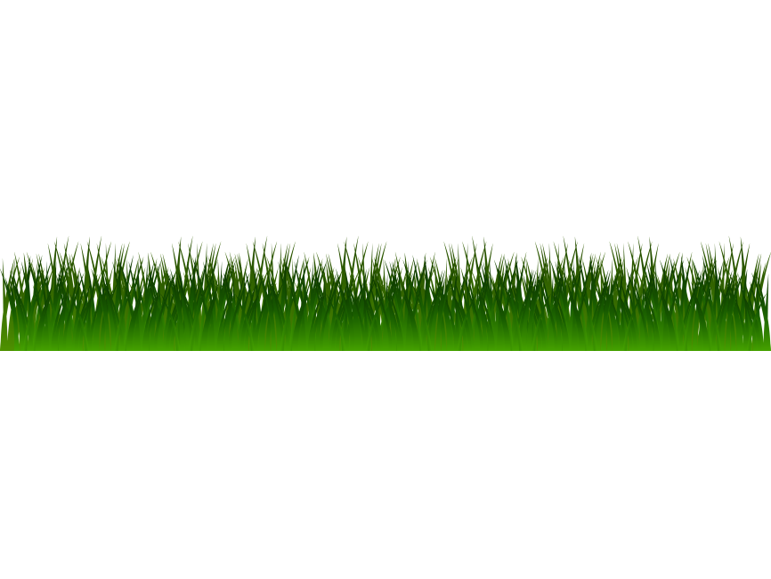 Green Grass