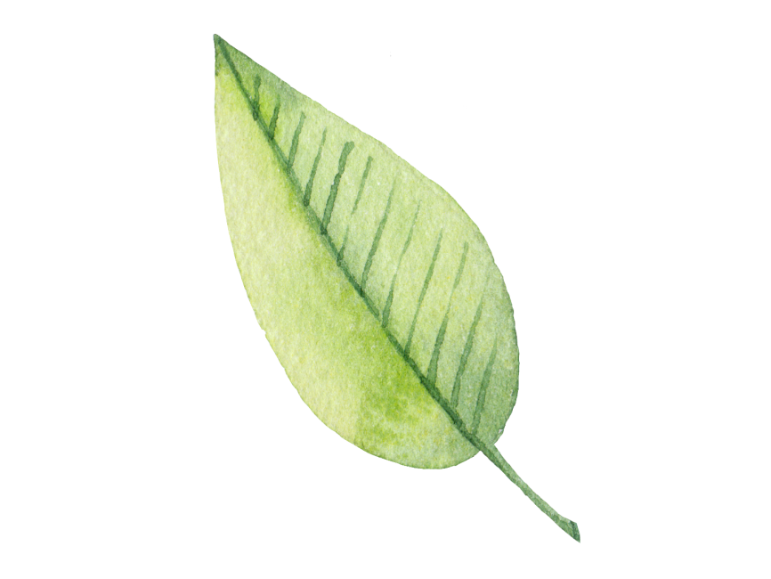 Green Leaf