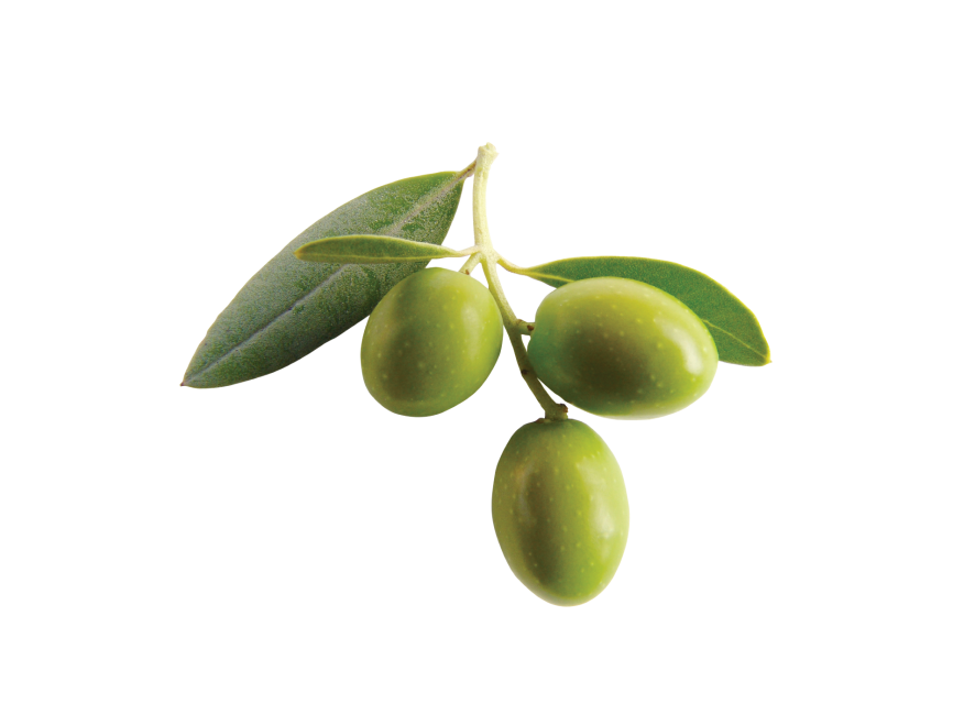 Green Olive