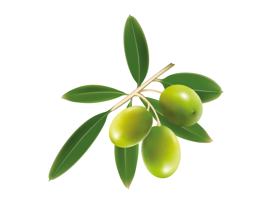 Green Olive