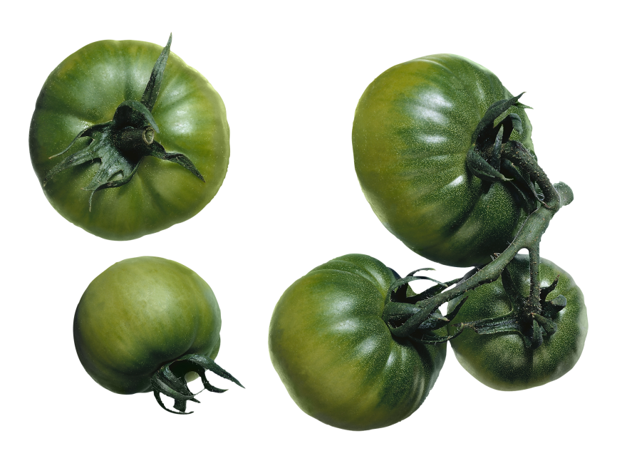 Green Tomato