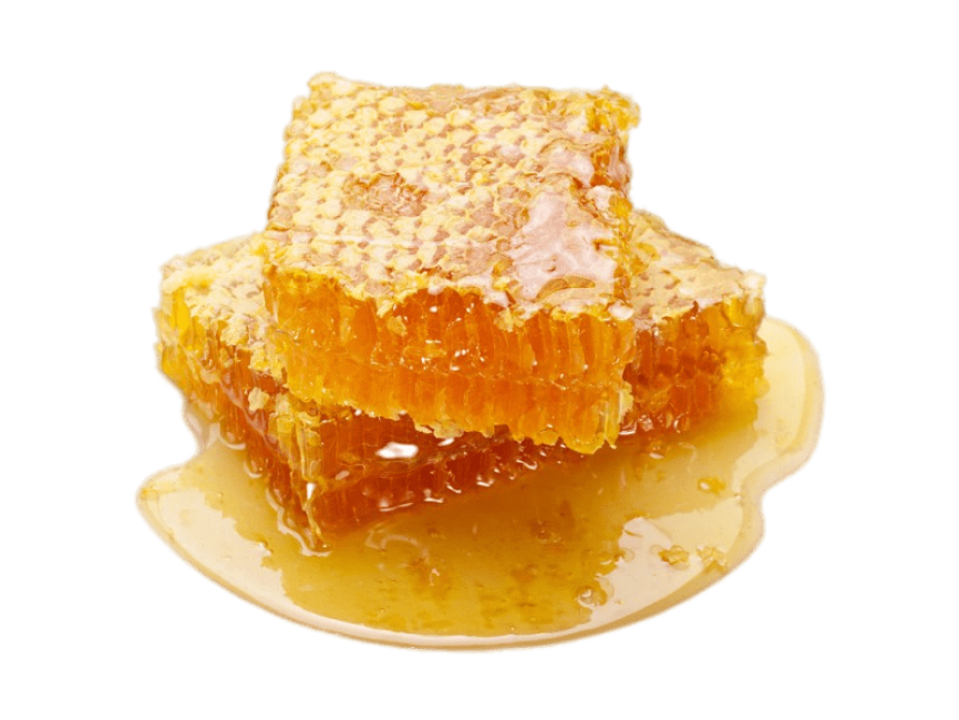 Honeycomb