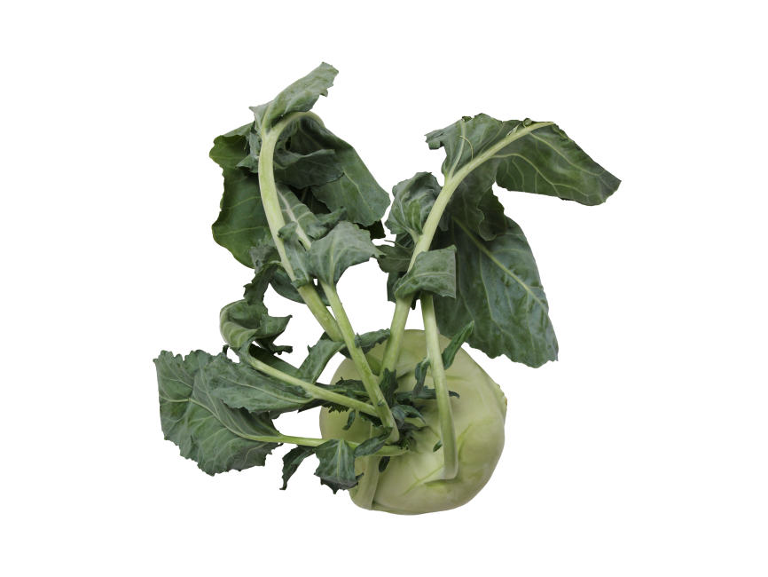 Kohlrabi