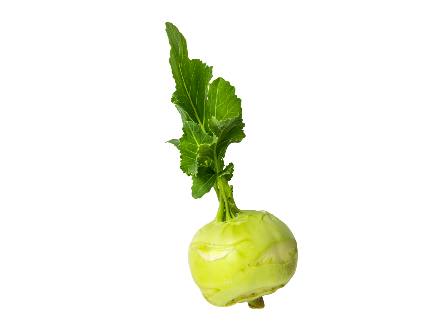 Kohlrabi Transparent PNG Image - Freepngdesign.com