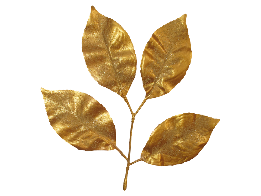 Leaf