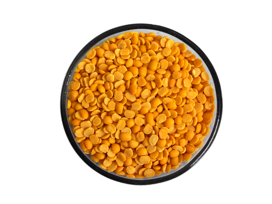 Lentil