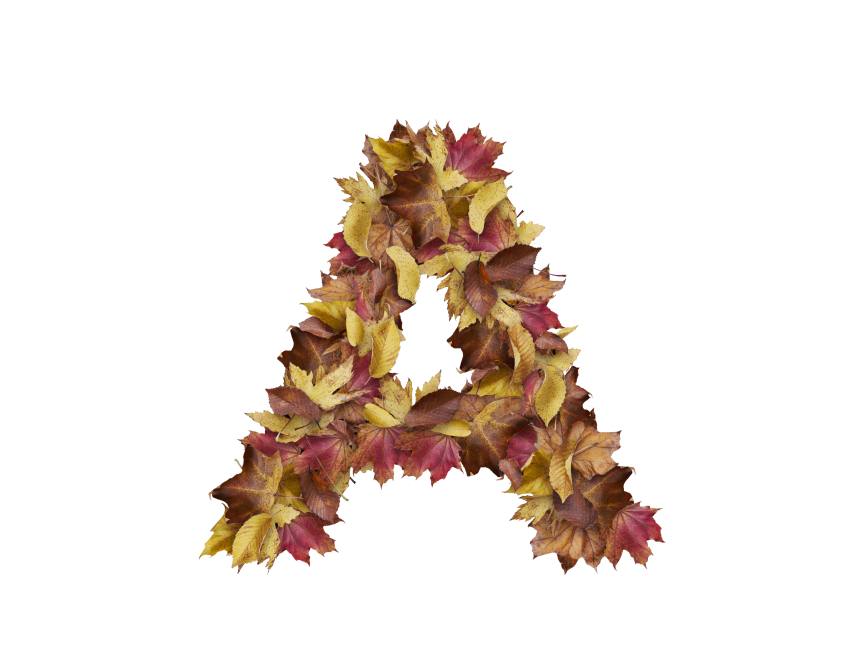 Letter A from Dry Leaves