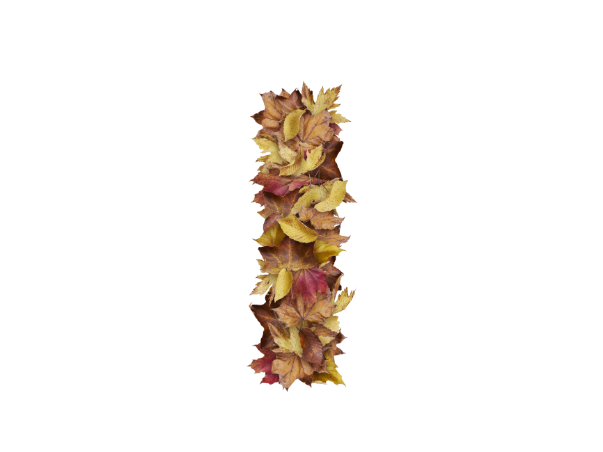 Letter I from Dry Leaves