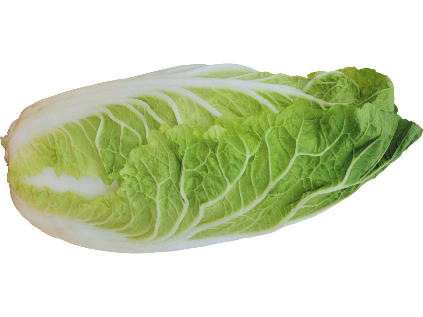 Lettuce
