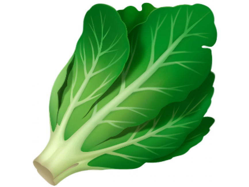 Lettuce Emoji