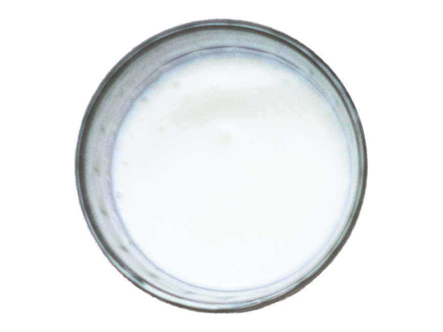 Milk