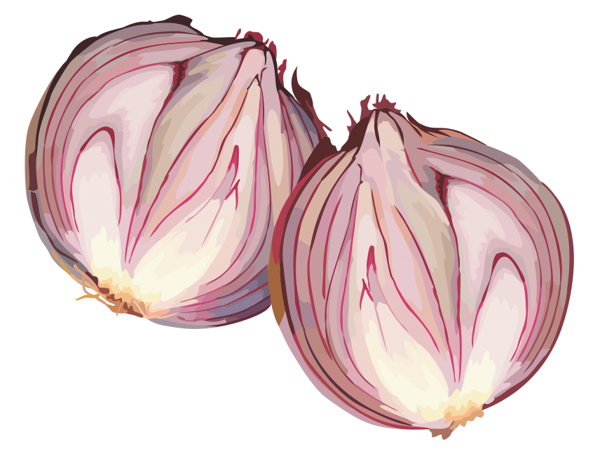 Onion