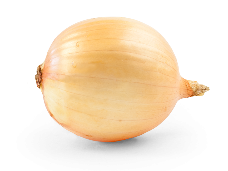 Onion