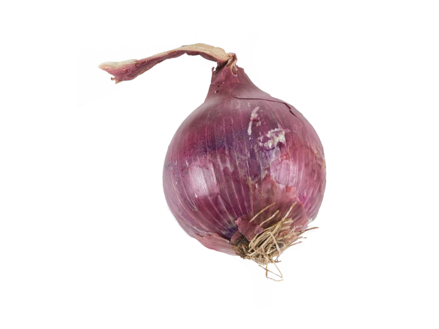 Onion