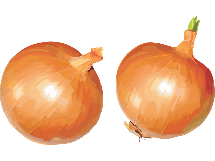 Onion