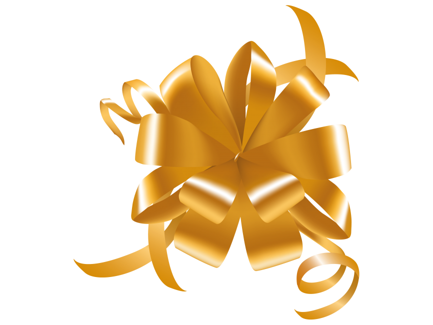 Orange Gift Bow