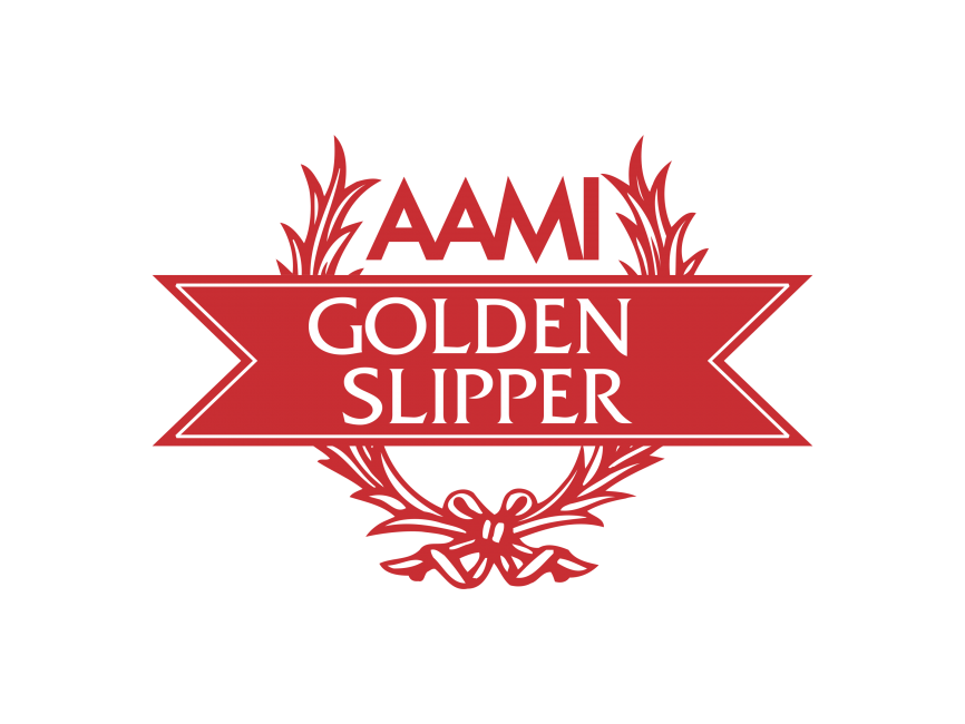 AAMI Logo